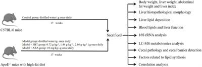 Fu brick tea alleviates high fat induced non-alcoholic fatty liver disease by remodeling the gut microbiota and liver metabolism